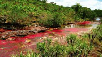 "Liquid Rainbow" führt die Liste der meisten an ungewöhnliche Naturphänomene