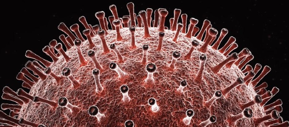 Die Genomanalyse zeigt, dass das Coronavirus möglicherweise eine Chimäre zweier verschiedener Viren ist 