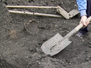 Englische Wissenschaftler haben Spuren eines Mannes gefunden, der mindestens 800.000 Jahre alt ist