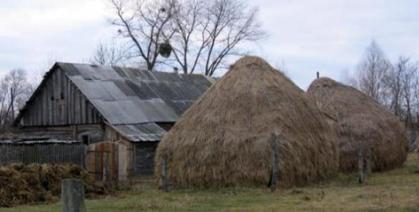 Enger Kontakt mit einem Außerirdischen in der Region Pinsk