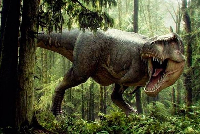 Viel Glück Paläontologen: Das vollständigste Tyrannosaurus-Skelett wurde entdeckt