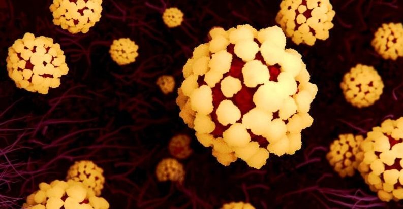 Die Zahl der Todesopfer in China ist in die Höhe geschossen.  Folgendes wissen und wissen wir nicht über das Coronavirus COVID-19 