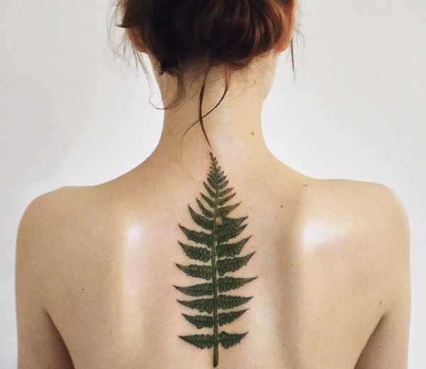 Farn Tattoo  