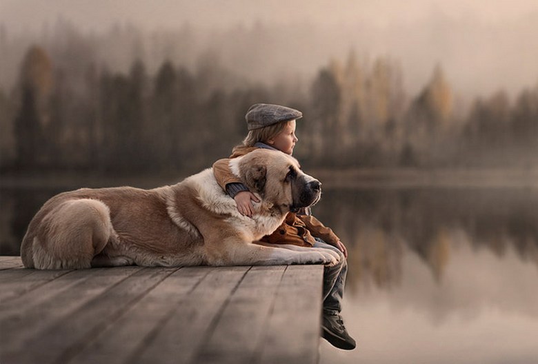 Zwei Geschichten über Hundetreue