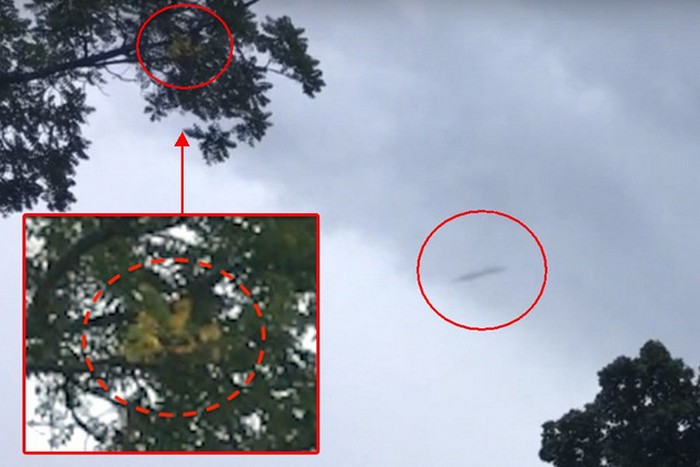 Doppeltes Glück: gleichzeitig UFO und Bigfoot erschossen