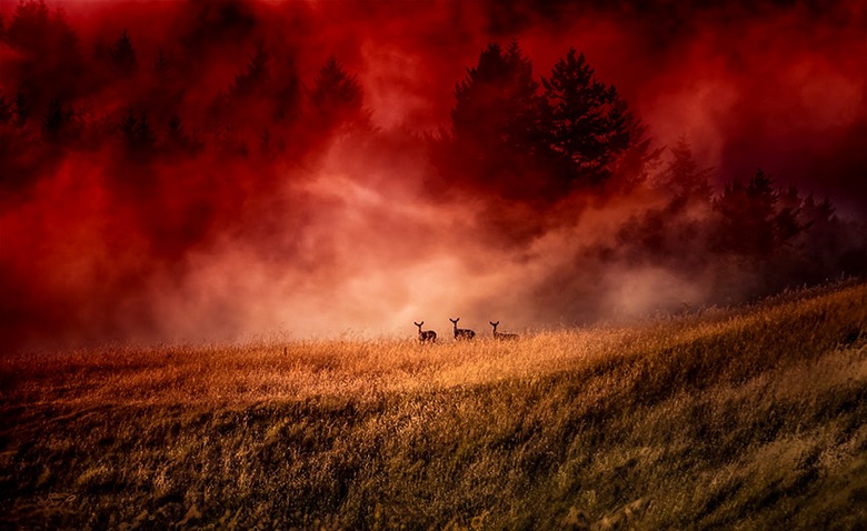 Ein weiteres interessantes Naturphänomen ist der rote Nebel.