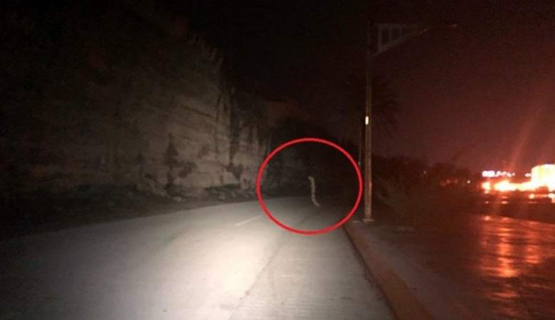 Der Riesenwurm hat die Nachtstraße in Mexiko überquert