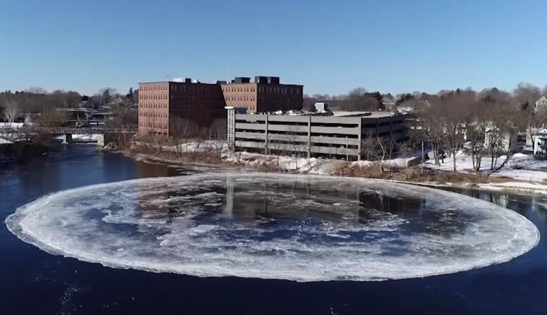 Eine riesige Spinnscheibe entstand an einem Fluss in den USA