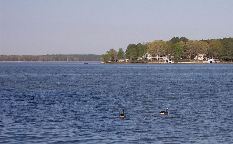 Blue Lake Monster in North Carolina entdeckt