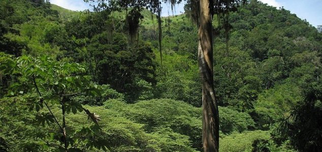 Forscher haben eine alte verlorene Stadt im Dschungel von Honduras entdeckt.