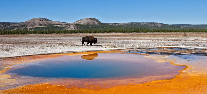 Yellowstone wird ohne Hilfe nicht explodieren können