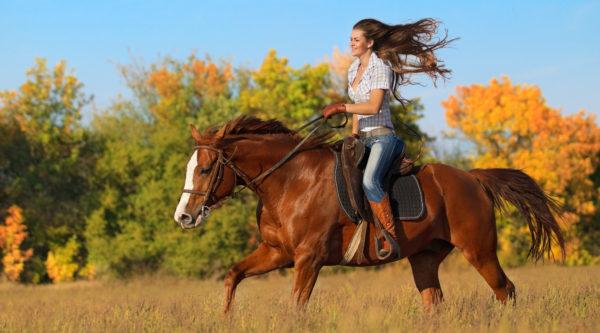 Warum davon träumen, ein Pferd zu reiten? 