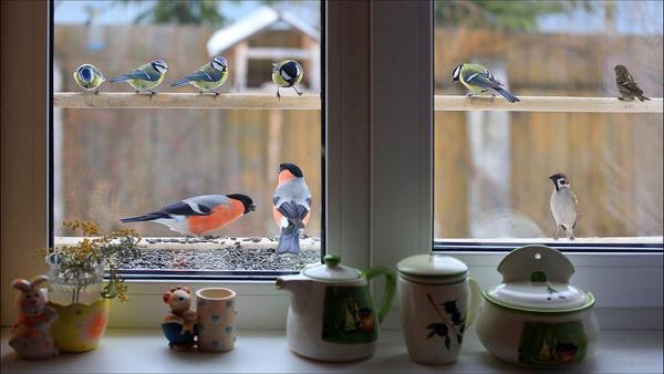 Titten am Fenster 