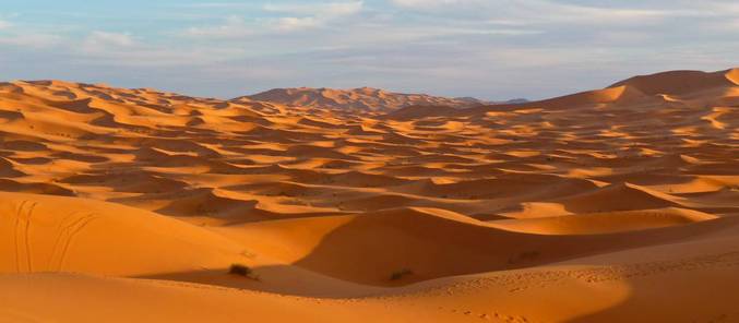 Wie die Sahara mit den Wäldern des Amazonas zusammenhängt