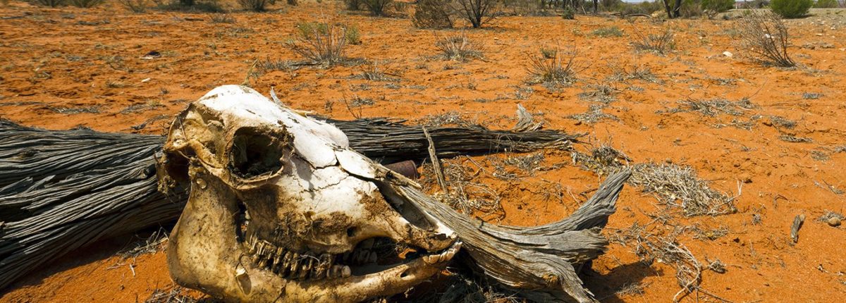 Kanadische Wissenschaftler: Die Menschheit wird innerhalb von 700 Jahren aussterben 