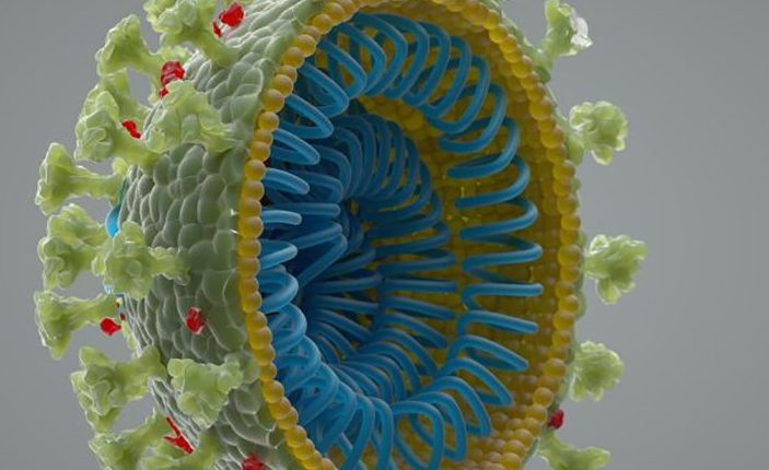Das Coronavirus wurde nicht in einem Labor erstellt.  Das sagen Wissenschaftler 