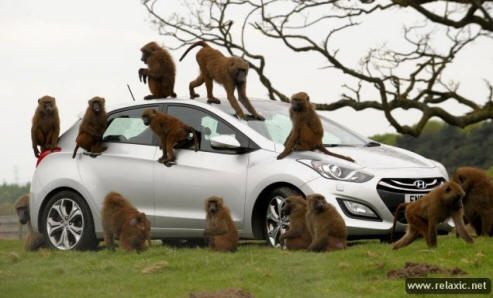 Crashtest für Hyundai