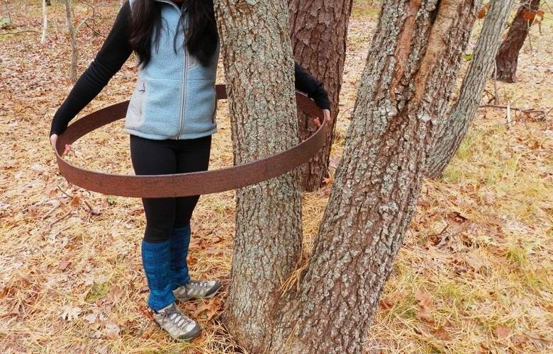 Jemand hat in Indiana einen mysteriösen Metallring auf einen Baum gelegt.