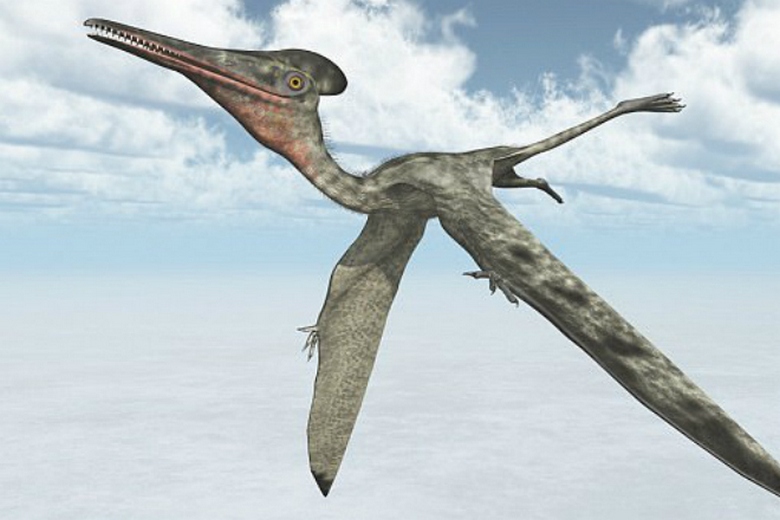 Fliegende Dinosaurier beherrschten in der Antike den Himmel