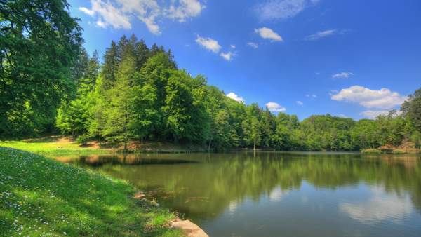 Zeichen des Sommers 