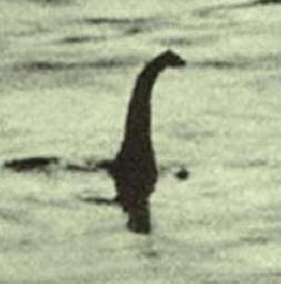 Loch Ness Monster wurde 80