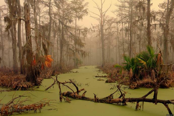 In den Sümpfen von Louisiana hat sich Abschaum niedergelassen