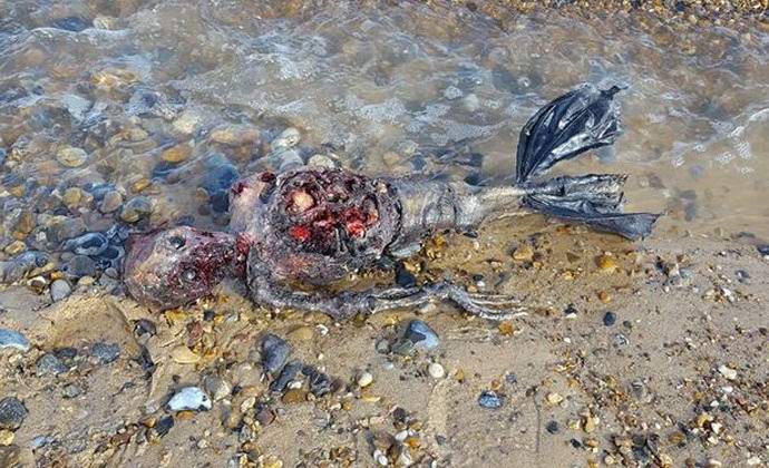 Eine verrottende Leiche einer Meerjungfrau, die auf einen britischen Strand geworfen wurde