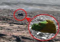 Versteinerter Affenkopf auf dem Mars gefunden 
