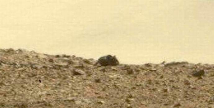 Auf dem Mars wurde eine riesige Maus entdeckt