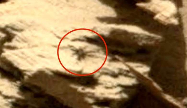 Auf den Bildern des Mars wurde eine große Spinne entdeckt