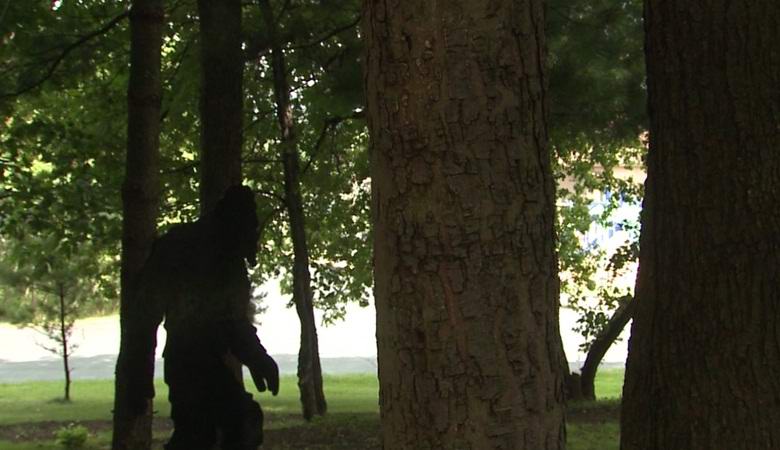 Auf Video: Bigfoot rennt durch den Wald