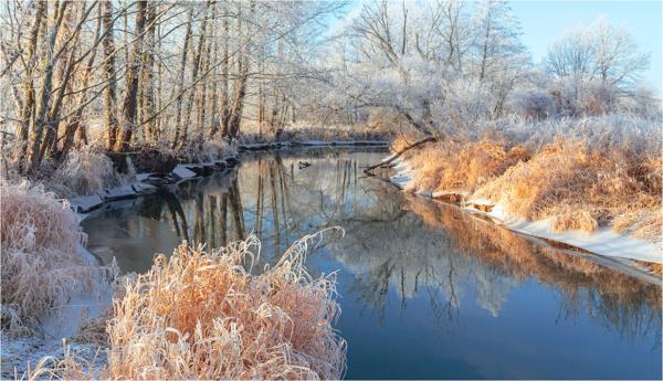 Fluss im November 