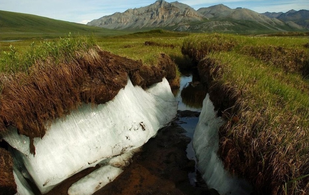 Die Hauptgefahren für Russland unter den Bedingungen des Klimawandels werden genannt