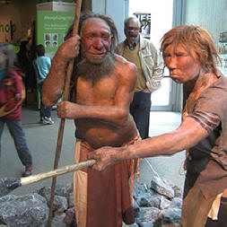 Neandertaler aßen modernen Menschen