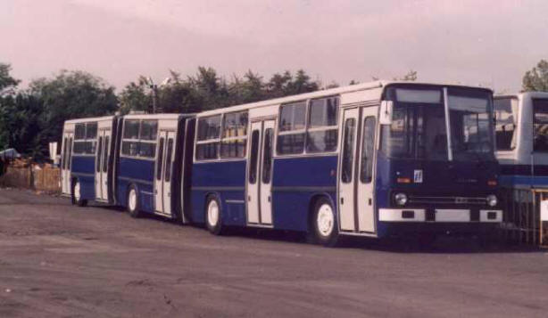 Lustiger Busbus, ungewöhnlich