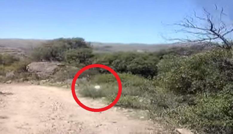Ein unverständliches Leuchten jagte das Auto der Argentinier