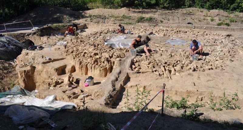 Überraschende runde Struktur aus Mammutknochen entdeckt 