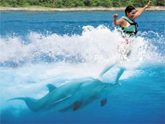 Die Kommunikation mit Tieren im Wasser ist ein himmlisches Vergnügen!