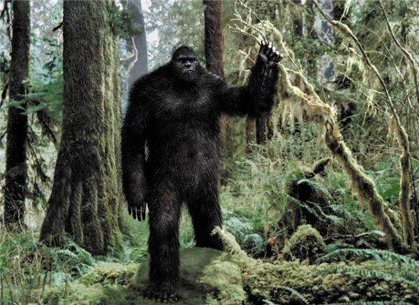 Zeugen bestätigen die Existenz des Bigfoot