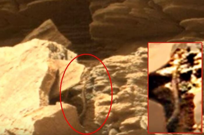 Eine riesige Schlange auf dem Mars entdeckt