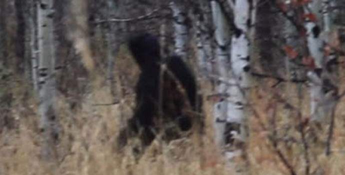 Der Jäger ist im Wald einem Yeti begegnet