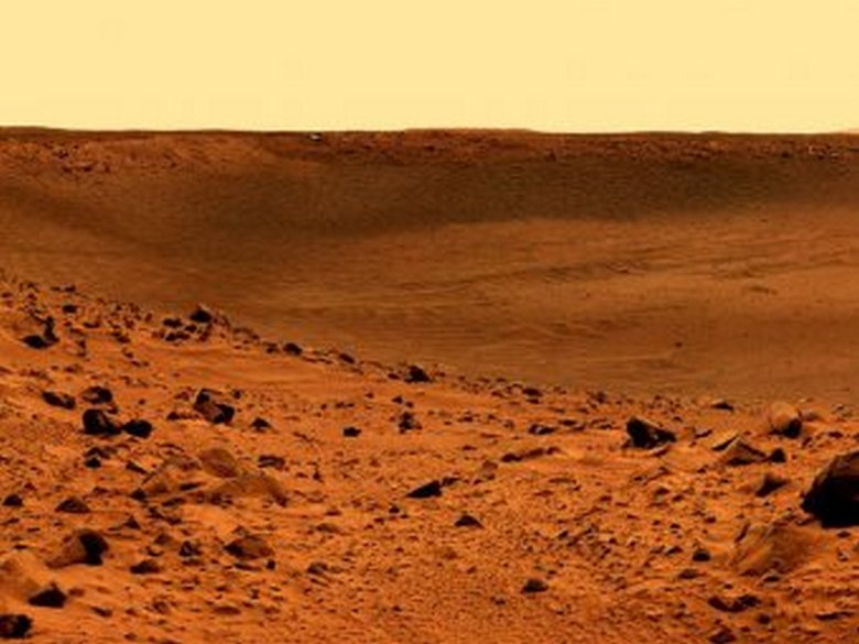 Versteinerte Überreste eines Außerirdischen auf dem Mars