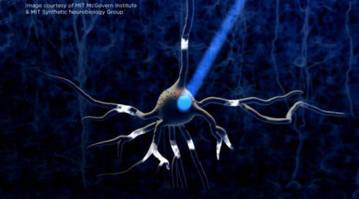 Optogenetik-Neuron-640x353