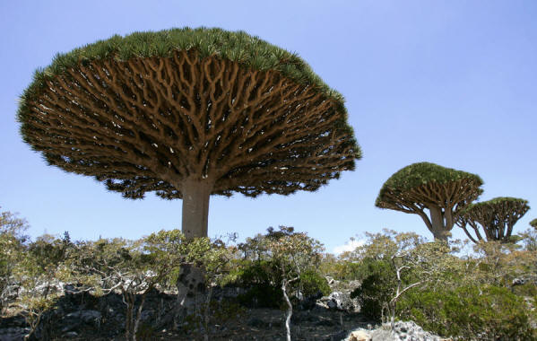 Galapagos-Insel im Indischen Ozean