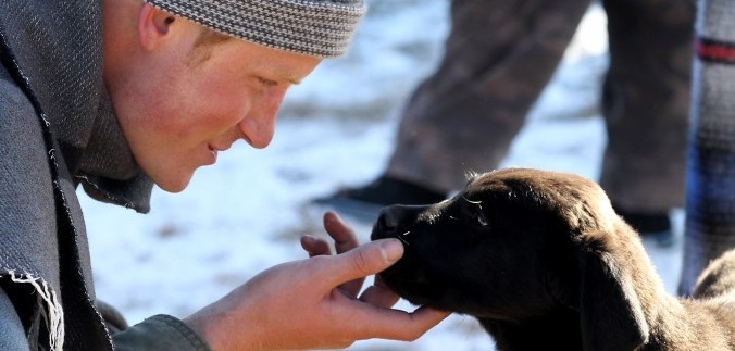 Die schlechte Laune des Besitzers wird dem Hund nicht verborgen bleiben.