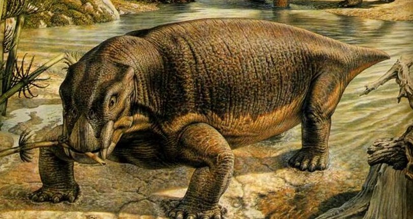 Polnische Paläontologen haben die Überreste eines riesigen menschlichen Vorfahren entdeckt