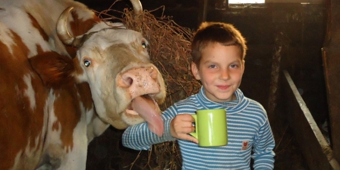 Frische Milch ist gesundheitsschädlich. Und keine frische Milch?