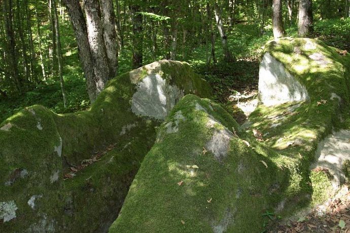 Planare Gesteine ​​ziehen nur die Aufmerksamkeit von Amateurforschern auf sich