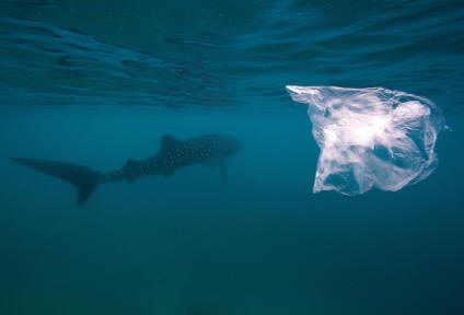 Plastikmüll dämpft die Ozeane