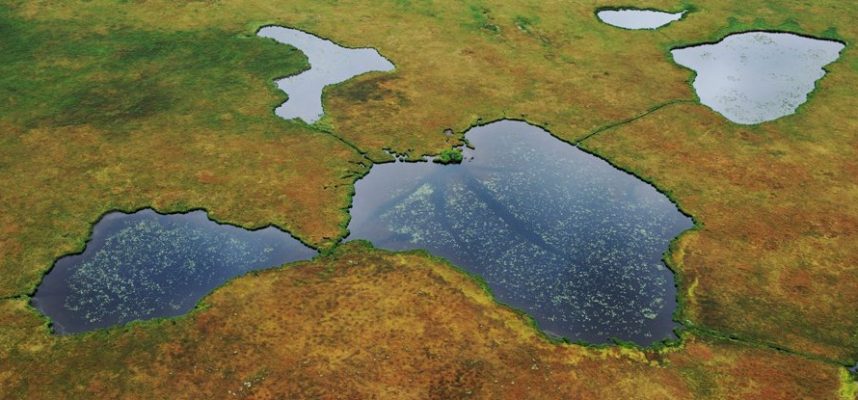 Ein Anstieg der globalen Temperatur um 2 ° C könnte 230 Milliarden Tonnen Kohlenstoffreserven eröffnen 